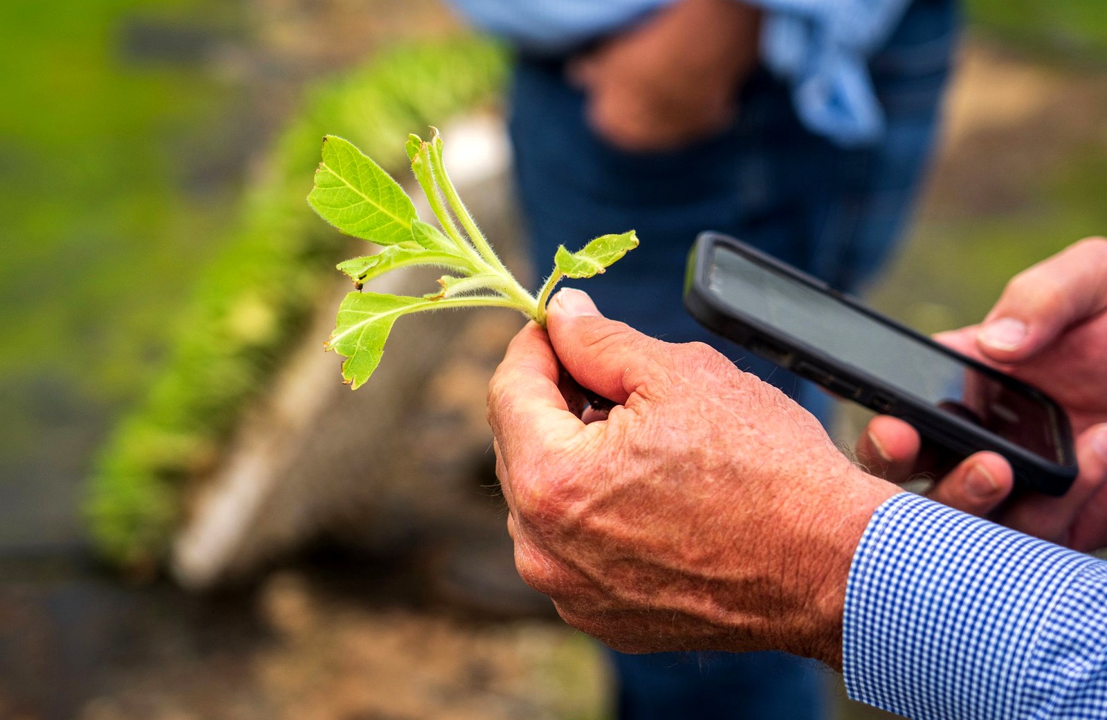 Farmer Android App